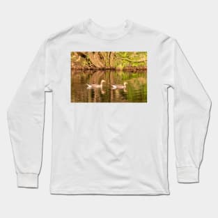 Greylag geese, Isle of Mull Long Sleeve T-Shirt